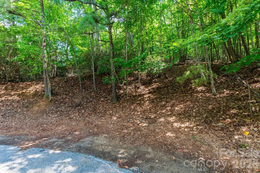 50 Cedar Drive Mills River NC 28759