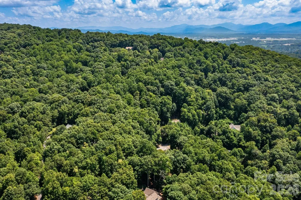 50 Cedar Drive Mills River NC 28759