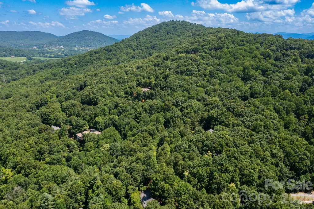 50 Cedar Drive Mills River NC 28759