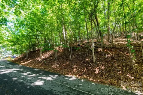 50 Cedar Drive Mills River NC 28759