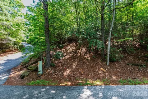 50 Cedar Drive Mills River NC 28759