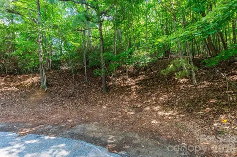 50 Cedar Drive Mills River NC 28759
