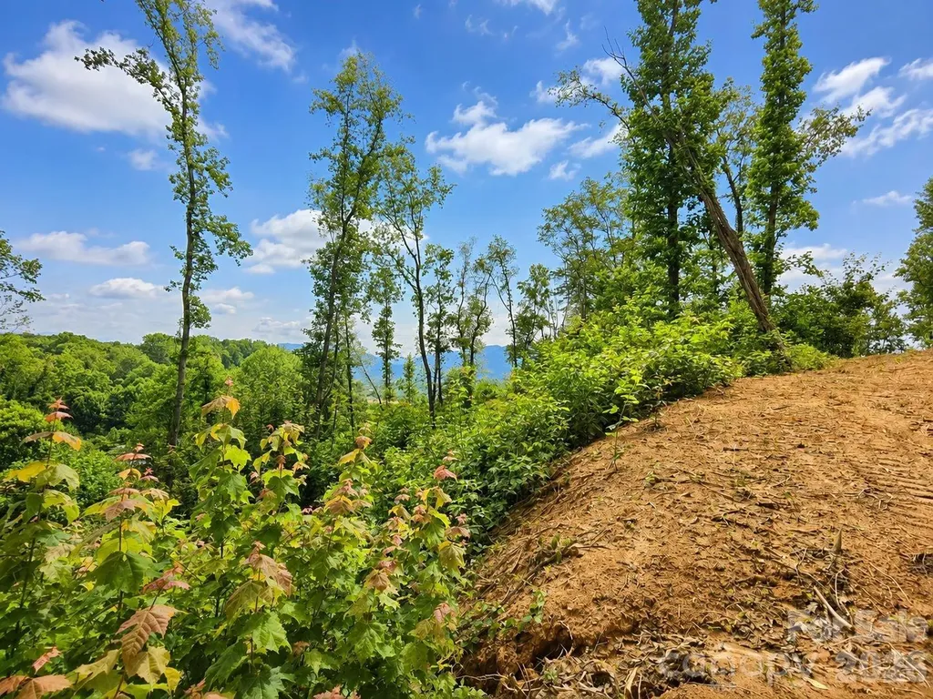 275 Sorrells Cove Road Waynesville NC 28786