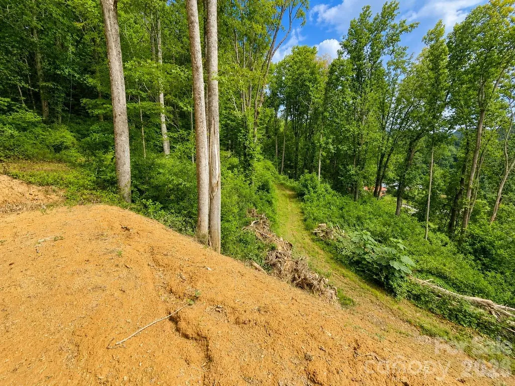 275 Sorrells Cove Road Waynesville NC 28786