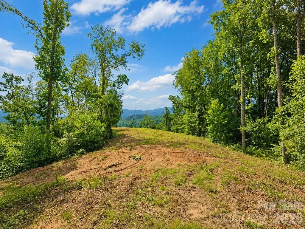 275 Sorrells Cove Road Waynesville NC 28786