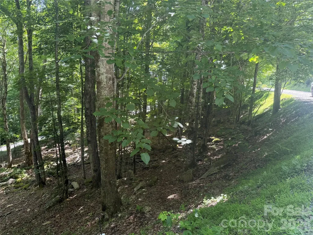 200 Wild Daisy Road Beech Mountain NC 28604