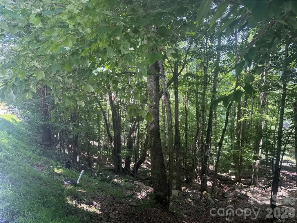 200 Wild Daisy Road Beech Mountain NC 28604