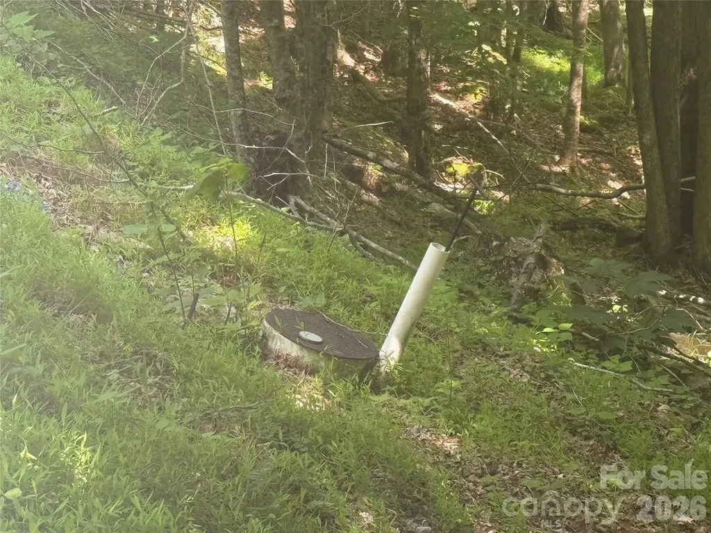 200 Wild Daisy Road Beech Mountain NC 28604