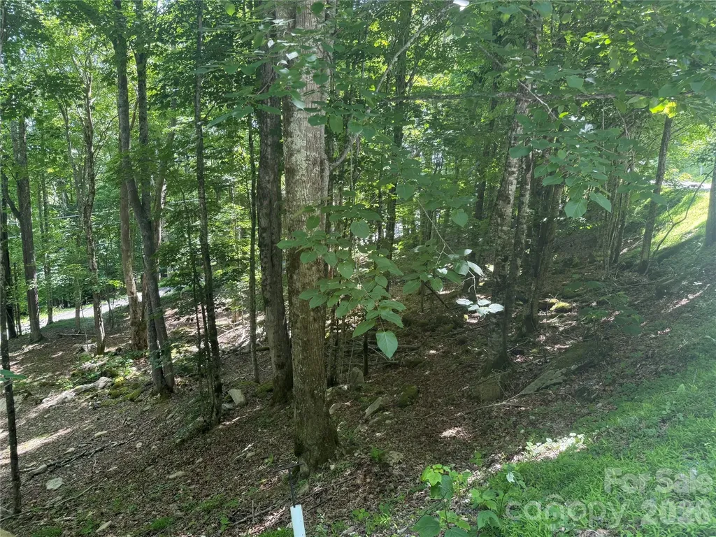 200 Wild Daisy Road Beech Mountain NC 28604
