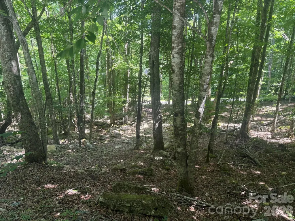 200 Wild Daisy Road Beech Mountain NC 28604