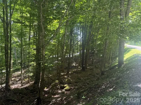 200 Wild Daisy Road Beech Mountain NC 28604