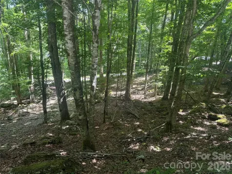200 Wild Daisy Road Beech Mountain NC 28604