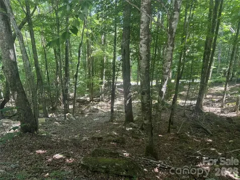 200 Wild Daisy Road Beech Mountain NC 28604