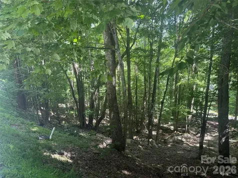 200 Wild Daisy Road Beech Mountain NC 28604