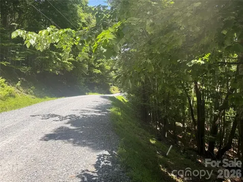200 Wild Daisy Road Beech Mountain NC 28604