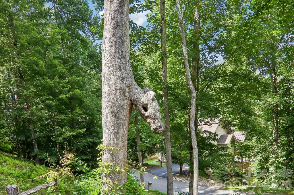 24 Caroline Lane Pisgah Forest NC 28768