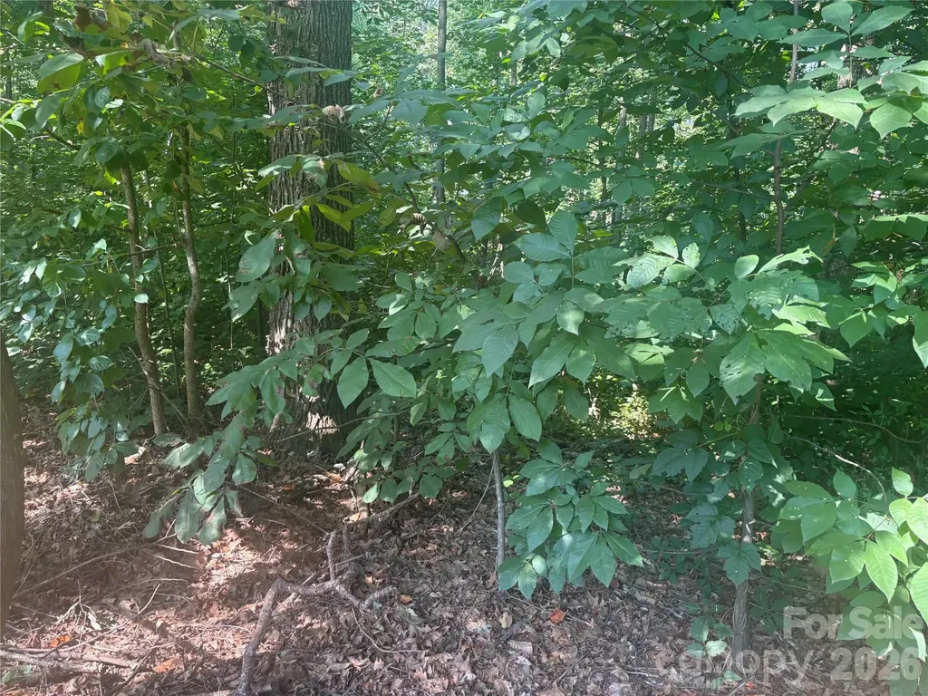 427 Deauville Road Statesville NC 28625
