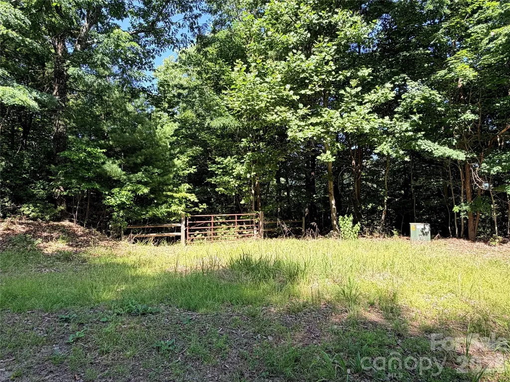 Tbd Blue Rock Road Purlear NC 28665