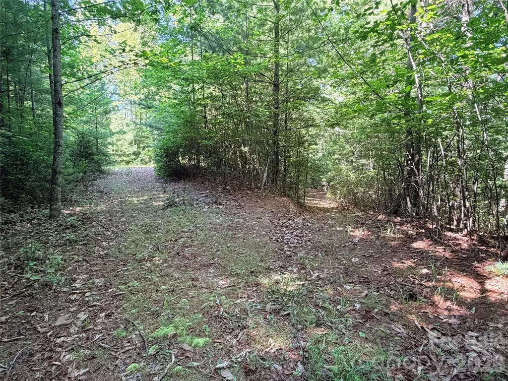 Tbd Blue Rock Road Purlear NC 28665