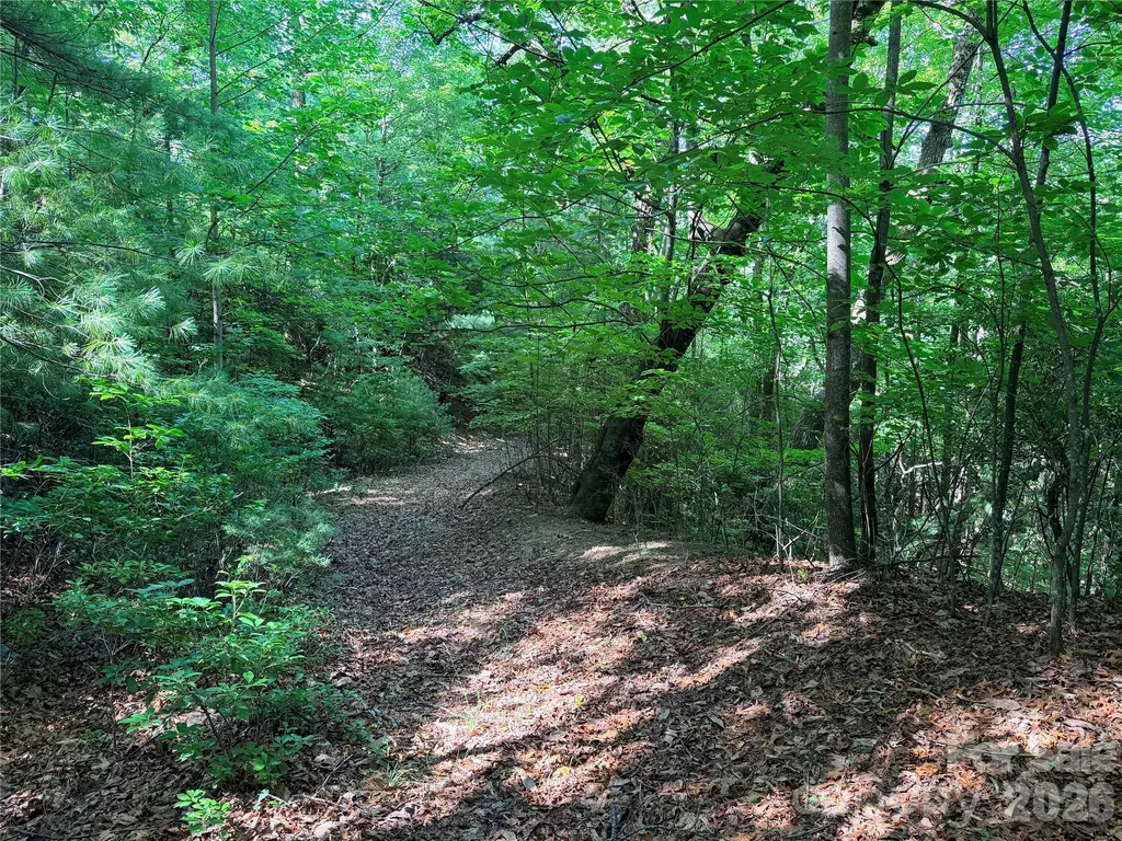 Tbd Blue Rock Road Purlear NC 28665