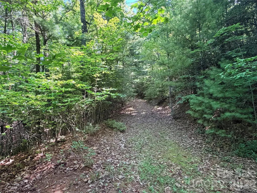 Tbd Blue Rock Road Purlear NC 28665