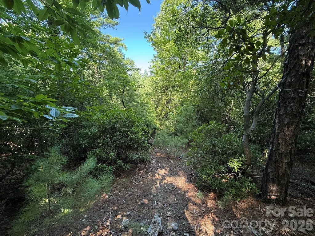 Tbd Blue Rock Road Purlear NC 28665