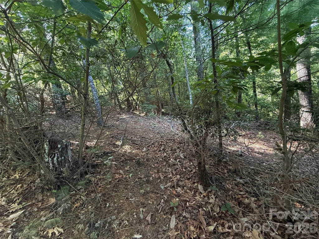Tbd Blue Rock Road Purlear NC 28665