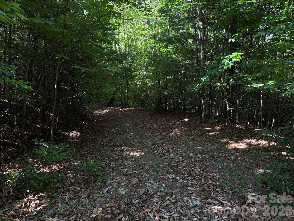 Tbd Blue Rock Road Purlear NC 28665