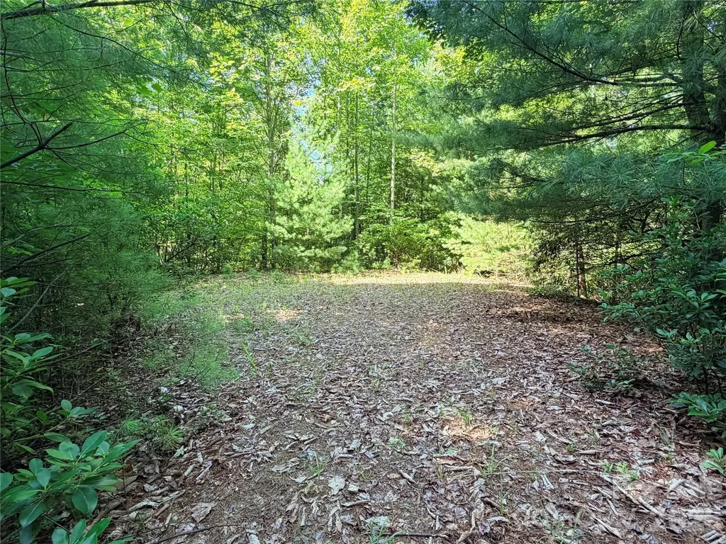 Tbd Blue Rock Road Purlear NC 28665
