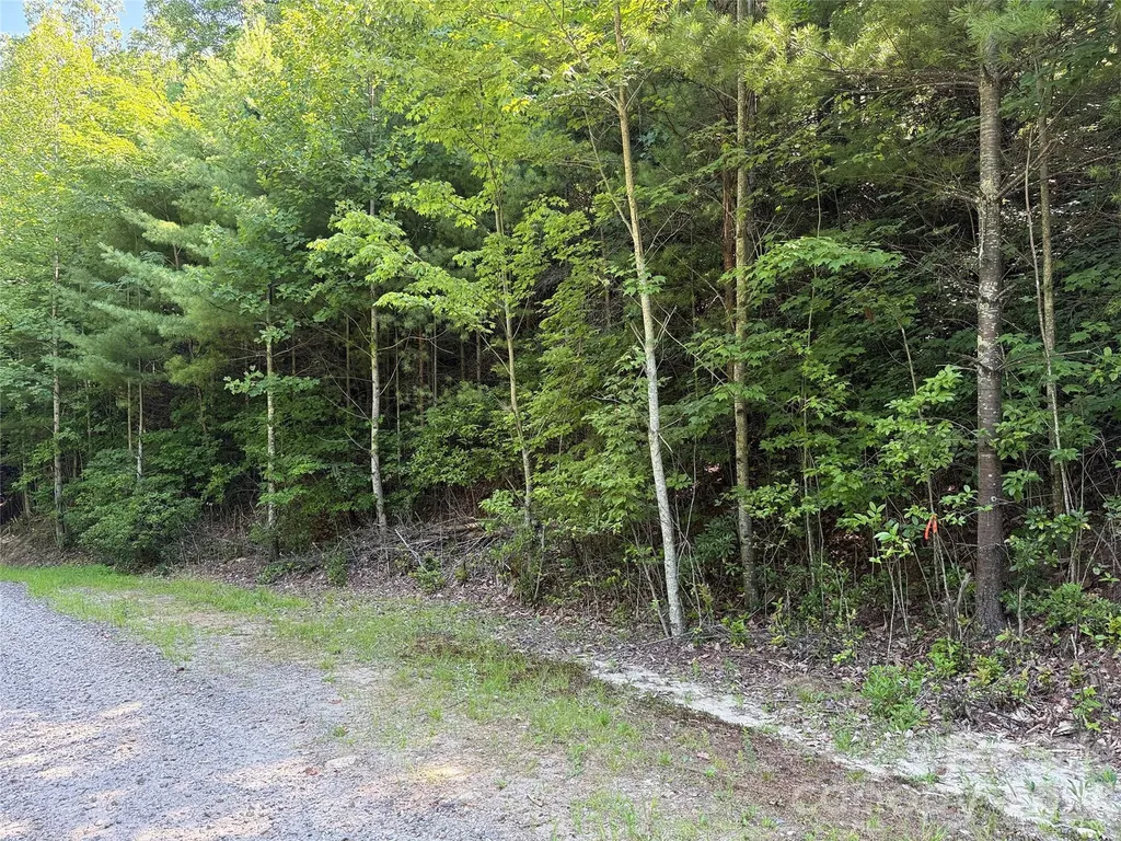 Tbd Blue Rock Road Purlear NC 28665