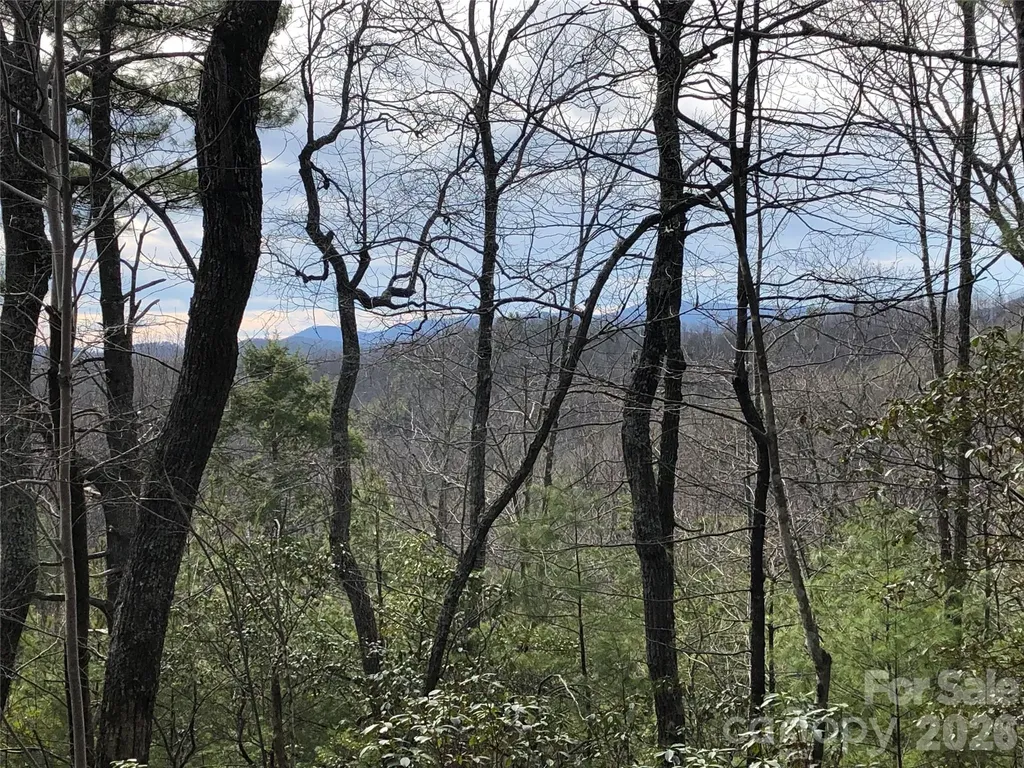 Tbd Blue Rock Road Purlear NC 28665