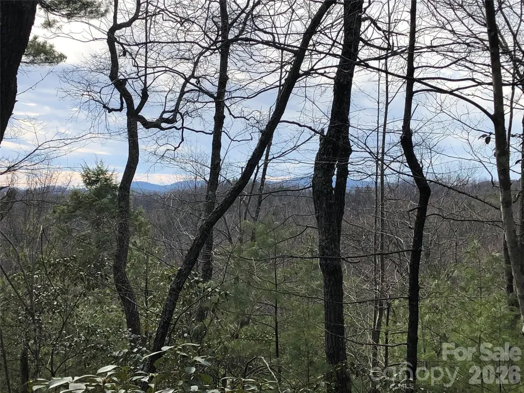 Tbd Blue Rock Road Purlear NC 28665