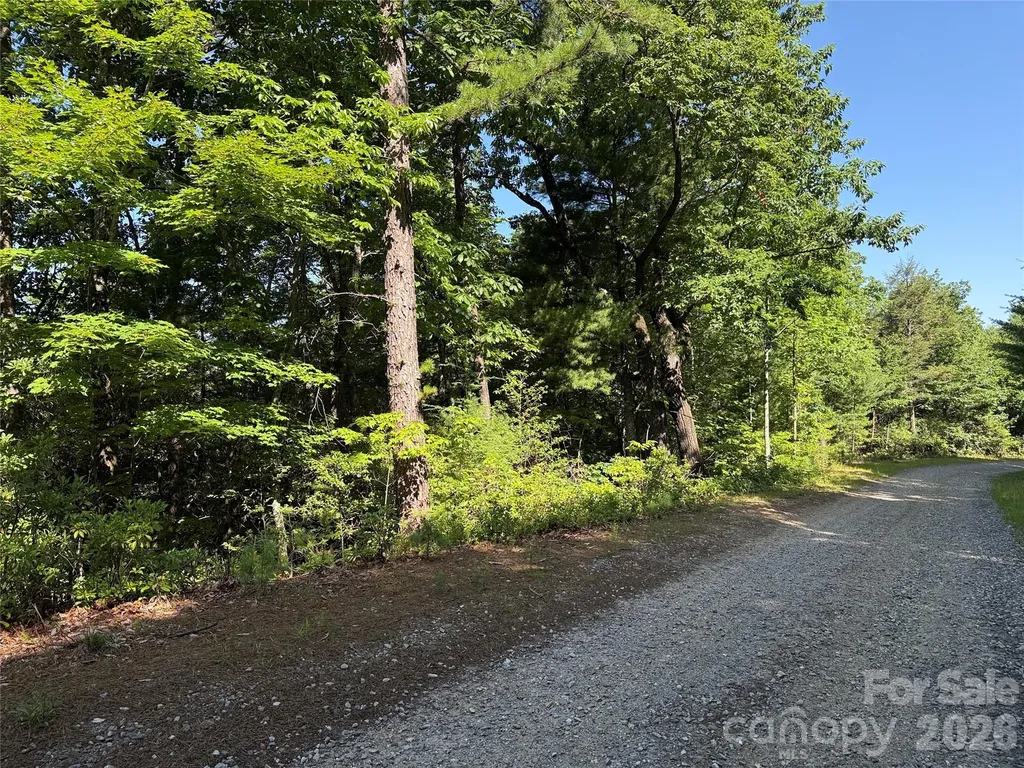 Tbd Blue Rock Road Purlear NC 28665