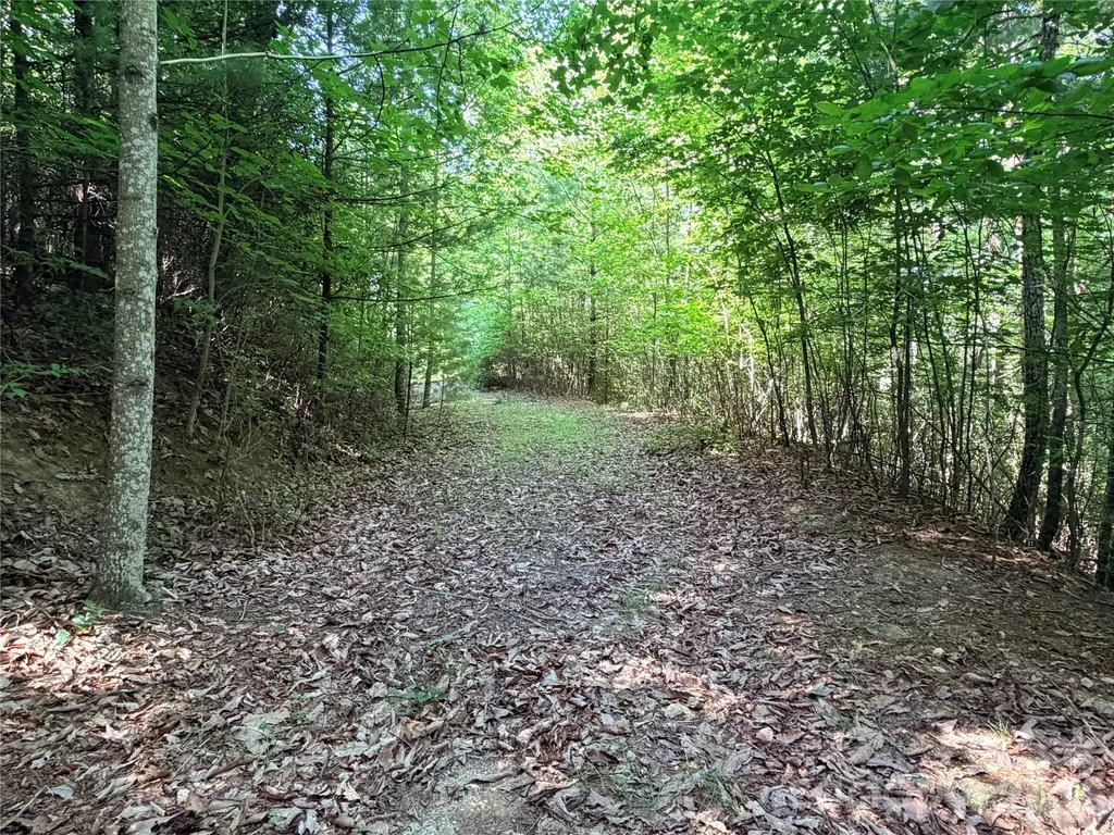 Tbd Blue Rock Road Purlear NC 28665