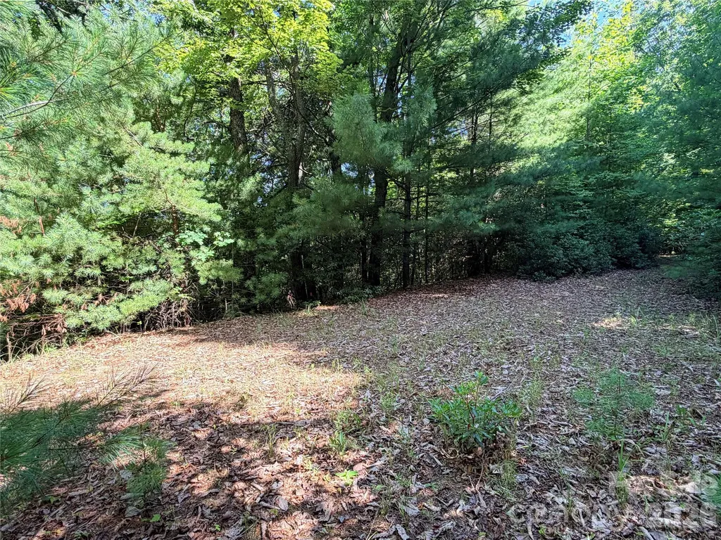 Tbd Blue Rock Road Purlear NC 28665