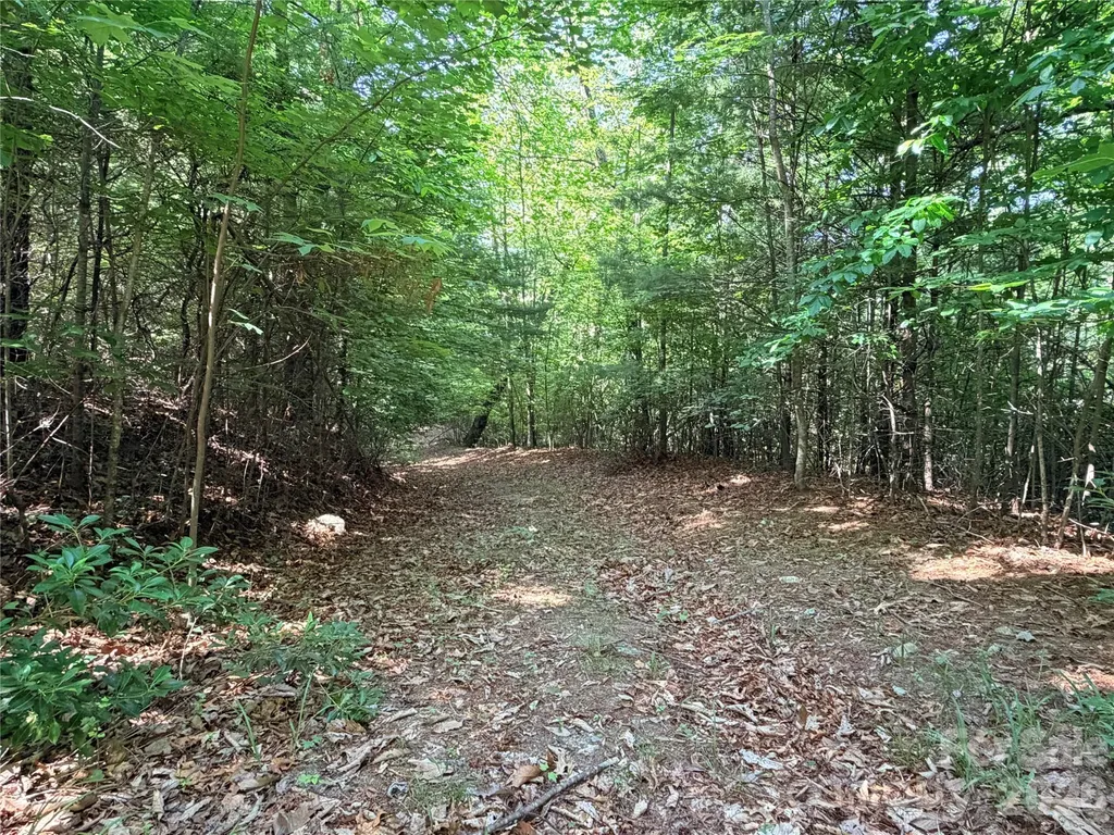 Tbd Blue Rock Road Purlear NC 28665