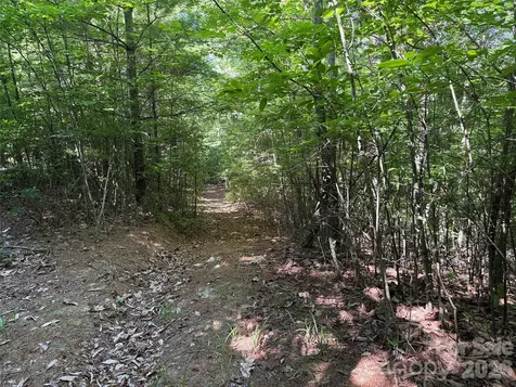Tbd Blue Rock Road Purlear NC 28665