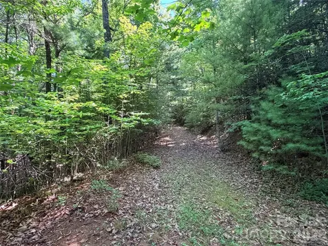 Tbd Blue Rock Road Purlear NC 28665