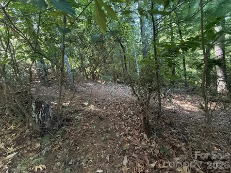 Tbd Blue Rock Road Purlear NC 28665
