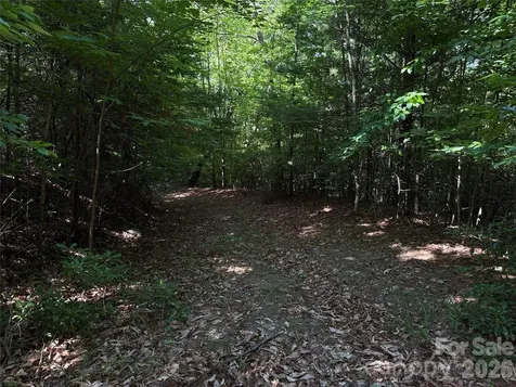 Tbd Blue Rock Road Purlear NC 28665