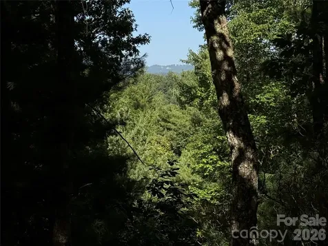 Tbd Blue Rock Road Purlear NC 28665