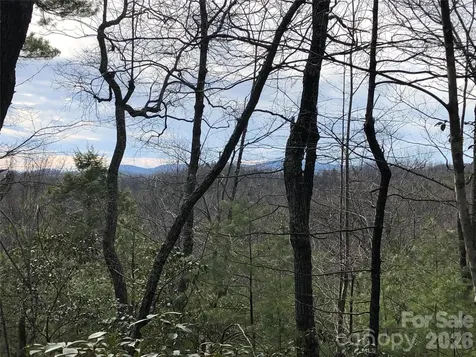 Tbd Blue Rock Road Purlear NC 28665