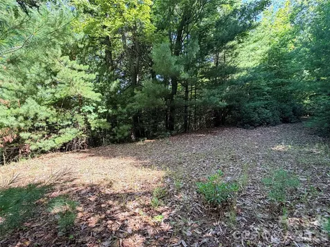 Tbd Blue Rock Road Purlear NC 28665