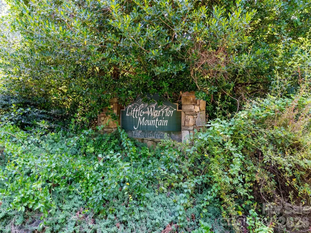 00 Rhododendron Drive Saluda NC 28773