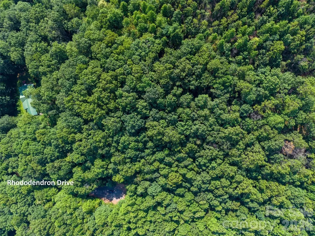 00 Rhododendron Drive Saluda NC 28773
