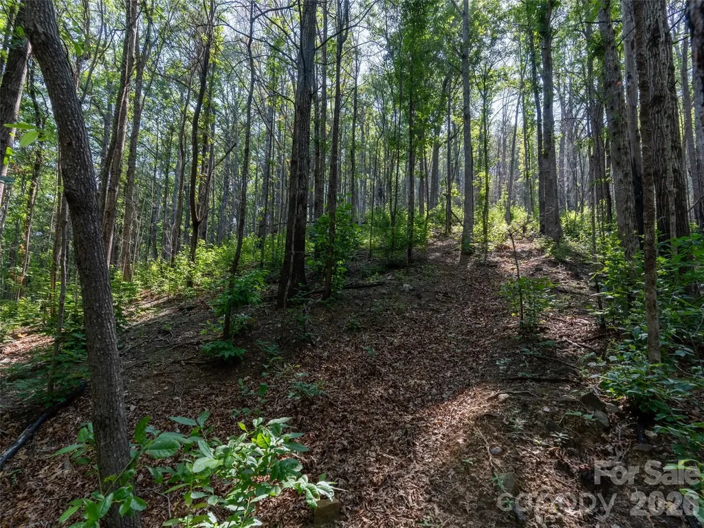 00 Rhododendron Drive Saluda NC 28773