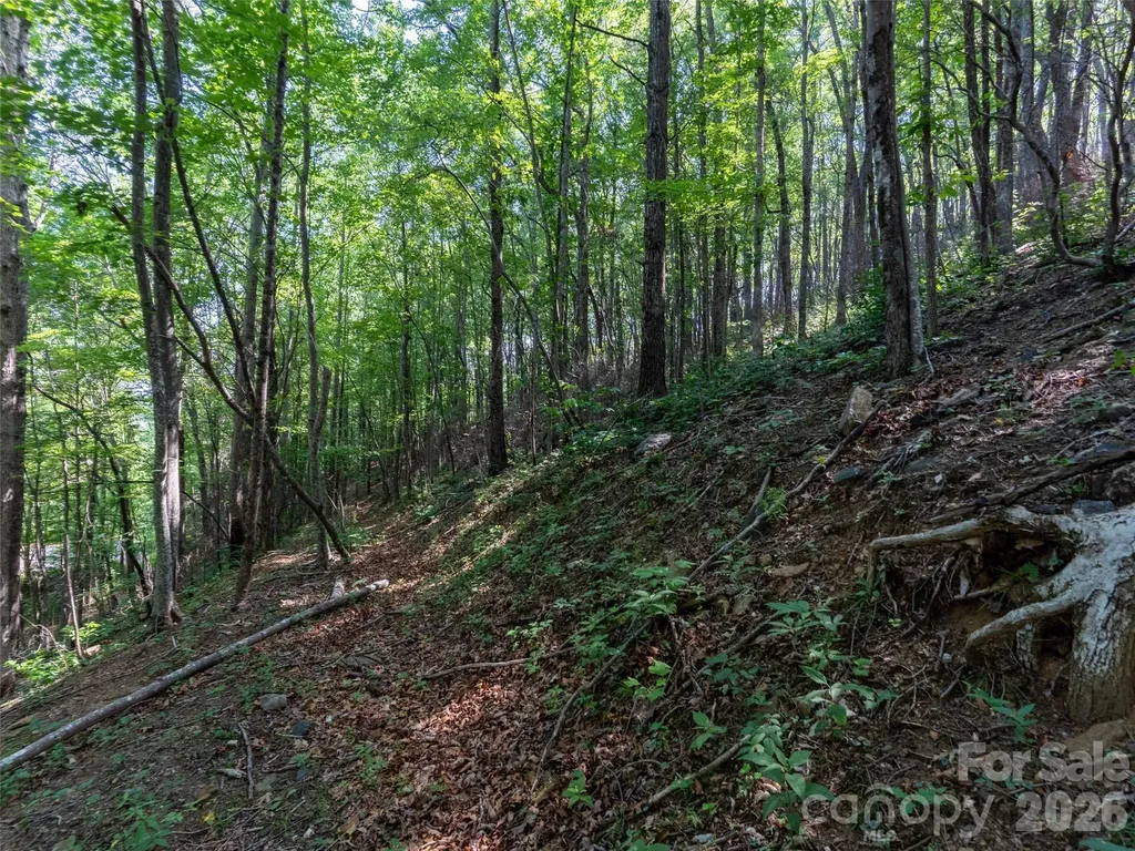 00 Rhododendron Drive Saluda NC 28773