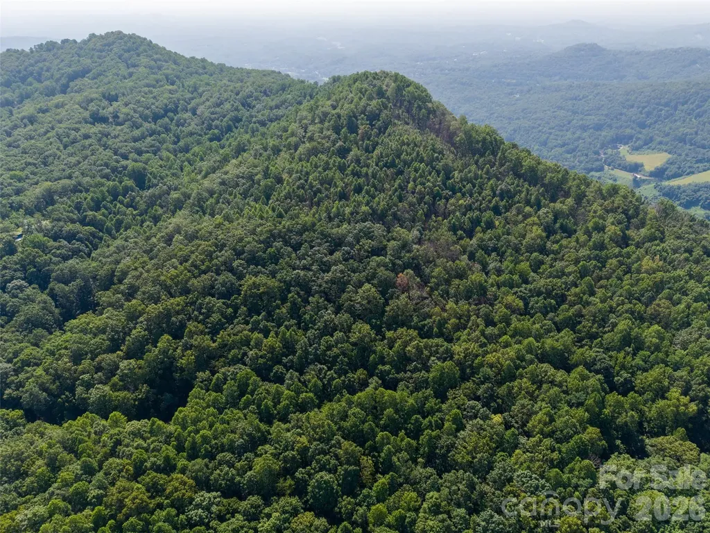 00 Rhododendron Drive Saluda NC 28773
