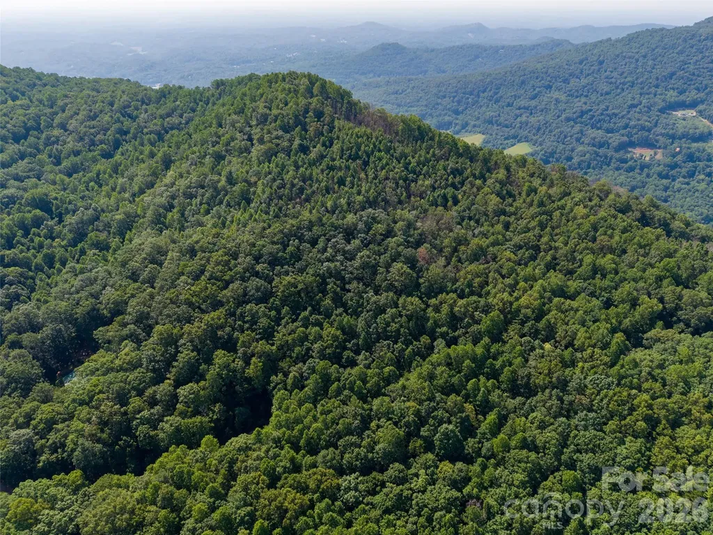 00 Rhododendron Drive Saluda NC 28773
