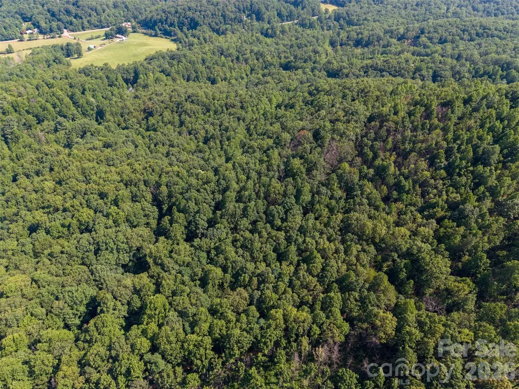 00 Rhododendron Drive Saluda NC 28773